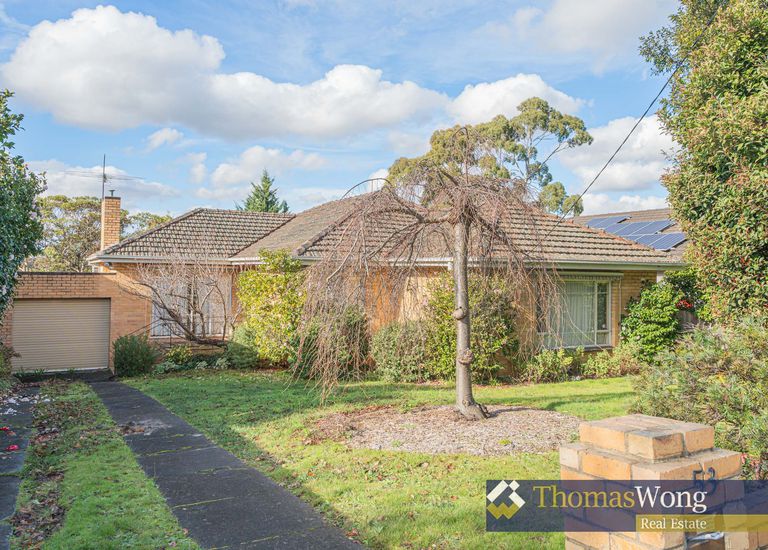 53 Greythorn Road, Balwyn North
