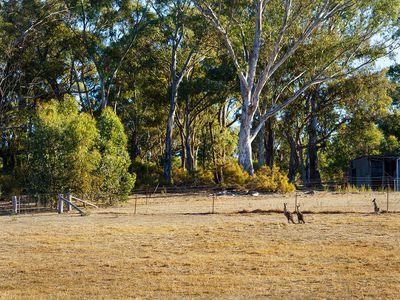 256 Blakeley Road, Castlemaine