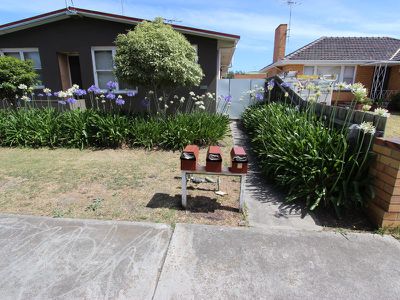 1 / 35 Clonard Avenue, Geelong West