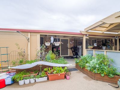 19 Cassia Avenue, Scarness