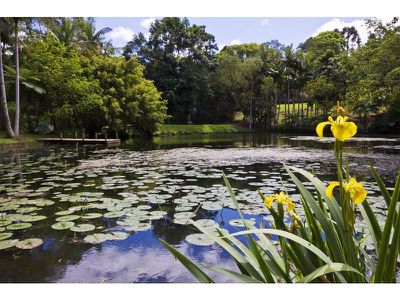 Lot 28 Western Avenue, Montville
