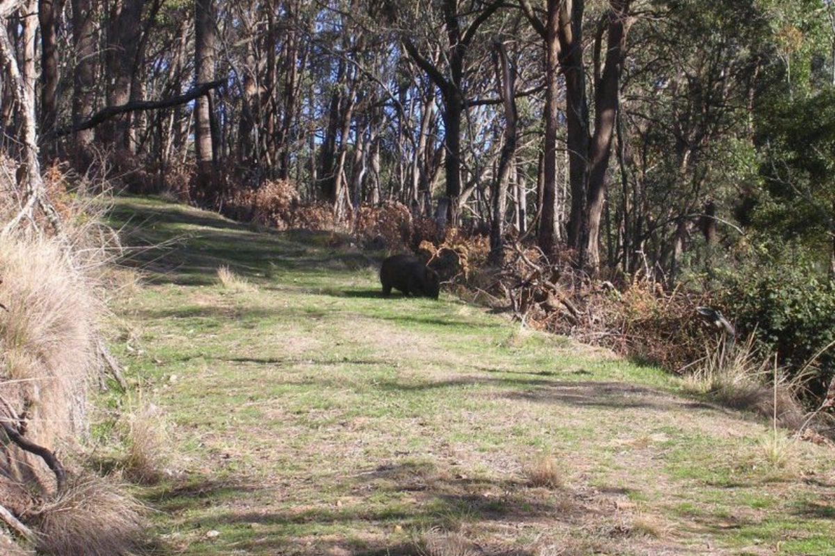 2695 Merton-Euroa Road, Merton
