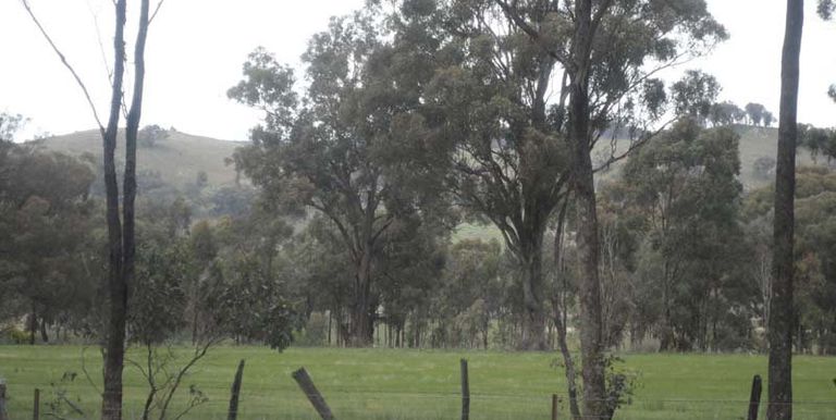 10 McIvor Lane, Violet Town