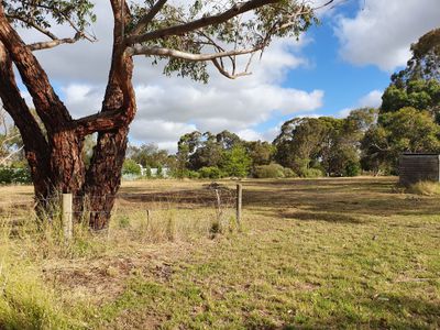 Lot 22, Rendelsham Road, Millicent