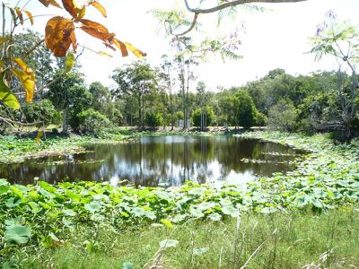 20 Peak View Place, Glass House Mountains