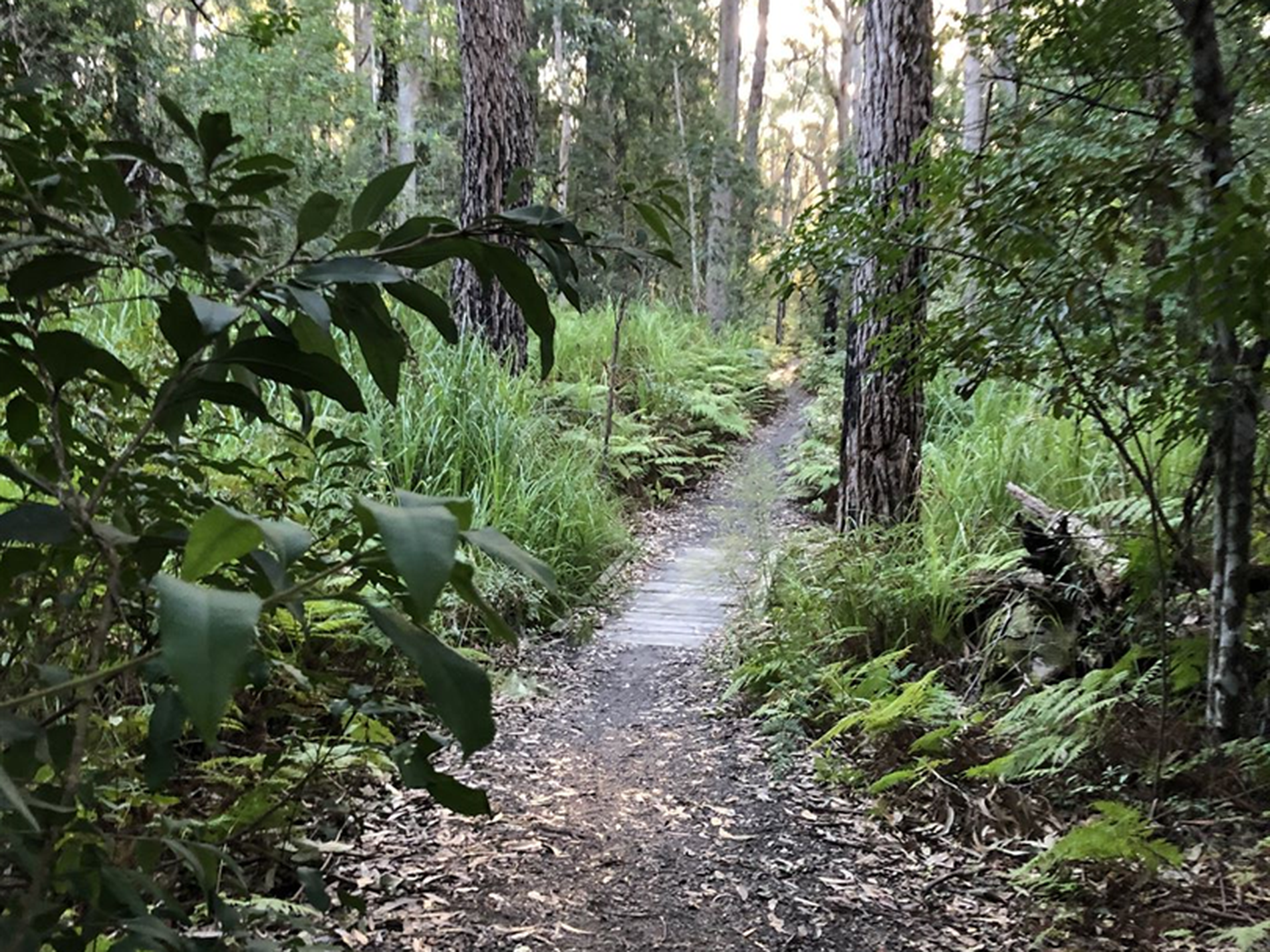 Lot Lot, 607 Iluka Crescent, Narrawallee