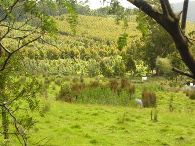 Lot 1 Bermuda Road, Glen Huon