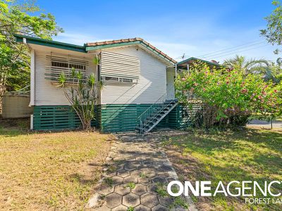 72 Brolga St, Inala