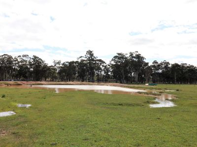 275 Bromfields Rd, Northwood