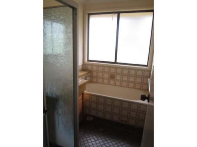 Mount Warrigal