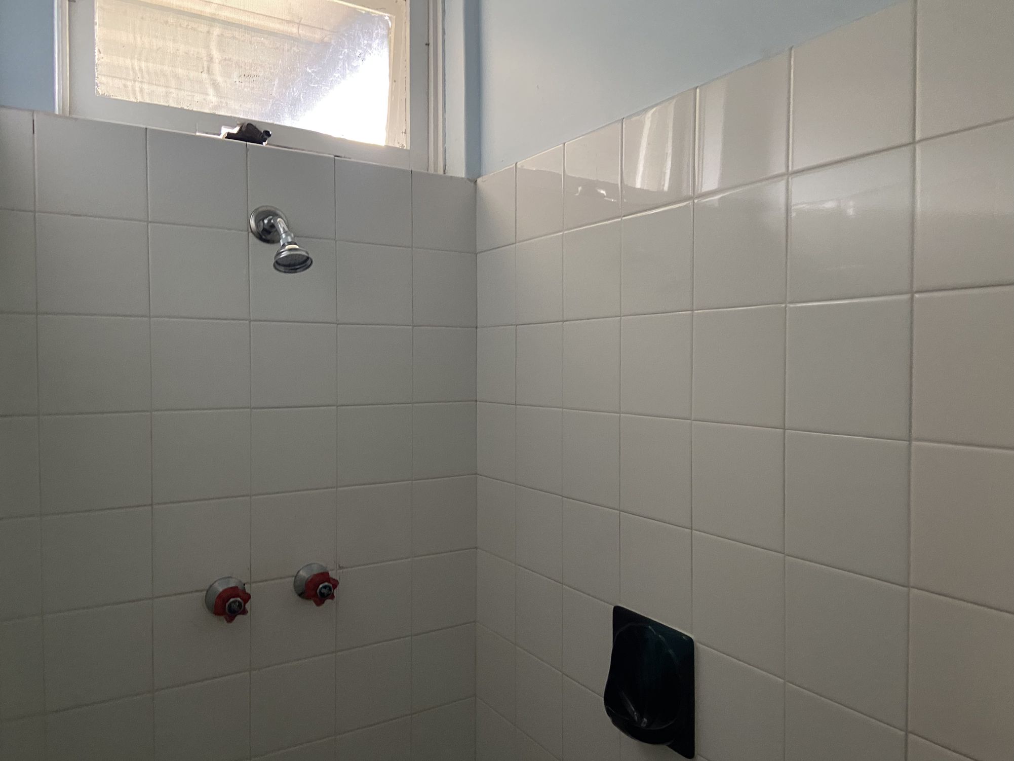 12 Basnett Street, Kurralta Park