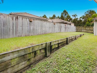 13 Andromeda Drive, Coomera