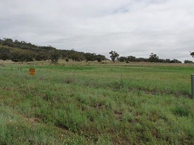 Lot 6 Eveleigh Road, Gunnedah