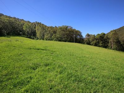 24 Treefern Road, Kangaroo Valley