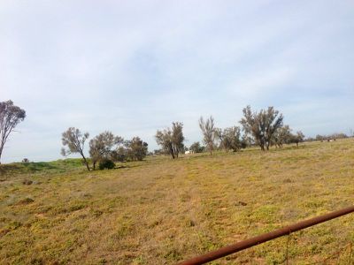 Lot 1 Windy Corner Riverina Highway, Deniliquin