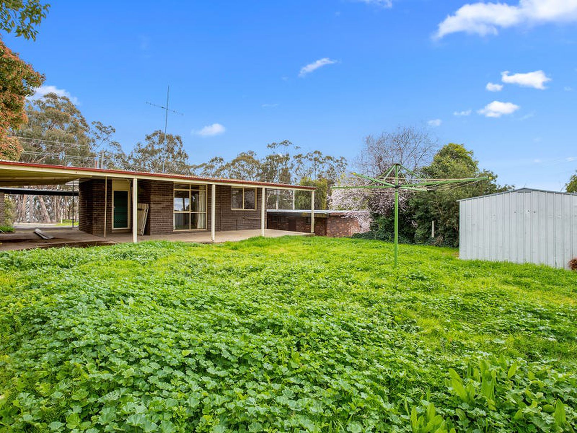 40 Delatite Rd, Seymour