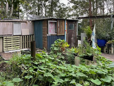 689 Stony Chute Road, Stony Chute