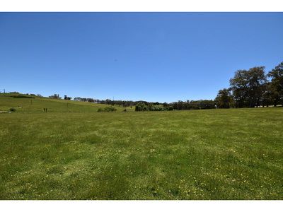 Lot 141 Watts Gully Road, Forreston