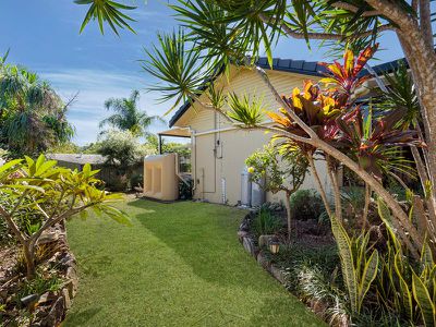 8 Belinda Crescent, Springwood