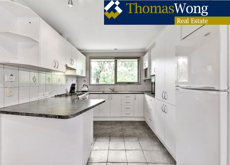 6 Mariposa Court, Wantirna South