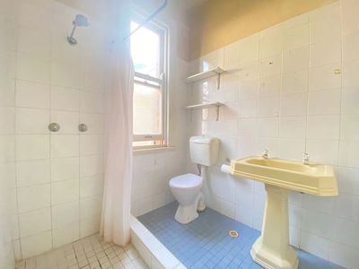 117a Campbell Street , Surry Hills
