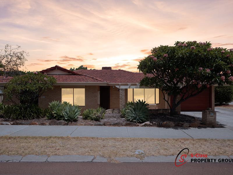 163 Rostrata Avenue, Willetton