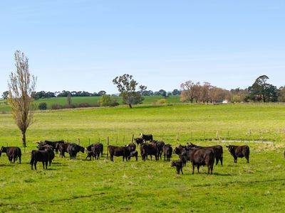 1469 Kyneton-Redesdale Road, Barfold