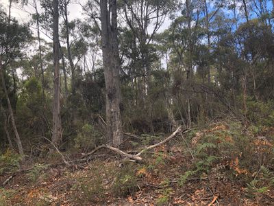 149 Esperance Coast Road, Surges Bay