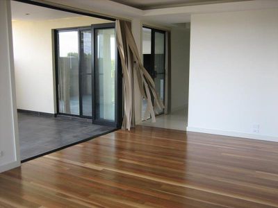 Blackbutt