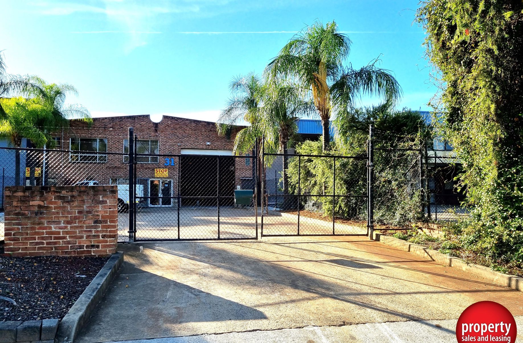 31 Lincoln Street, Minto