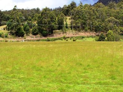 Land At Pelverata Road, Pelverata