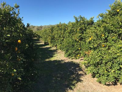 2 / Murray Road, Murrabit