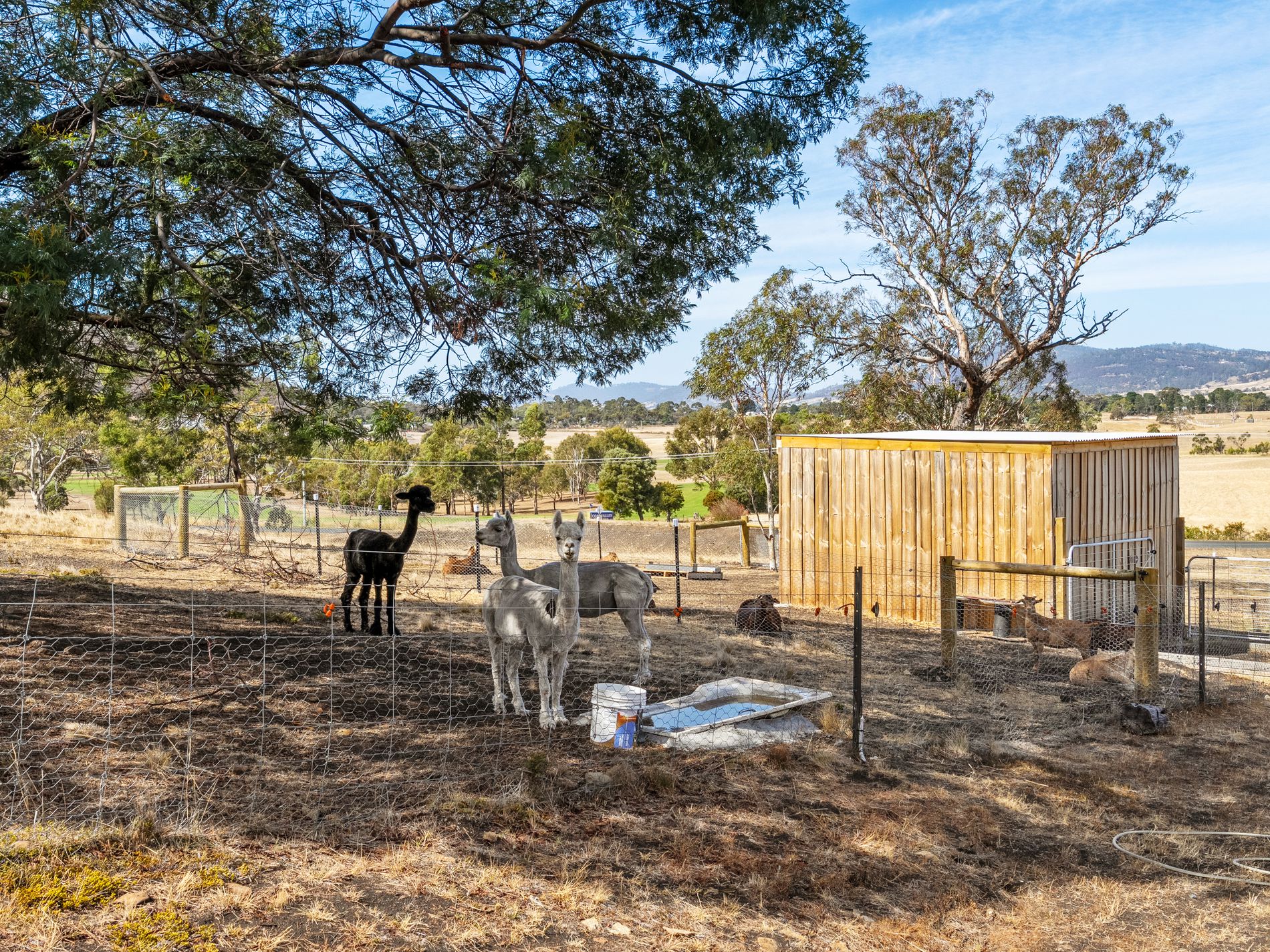 180 Middle Tea Tree Road, Richmond