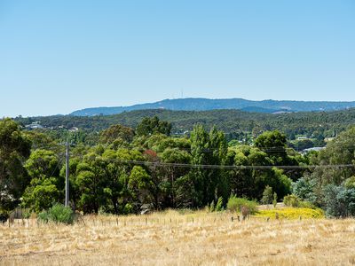 18 Donkey Gully Road, Campbells Creek