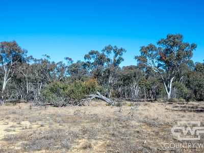 222 Strathbogie Road, Emmaville