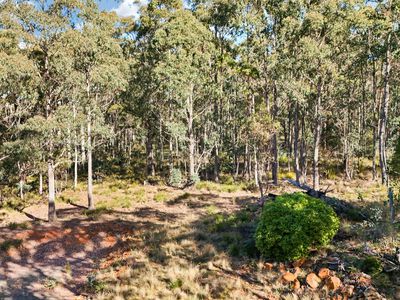 71 Lake View Road, Lake Leake
