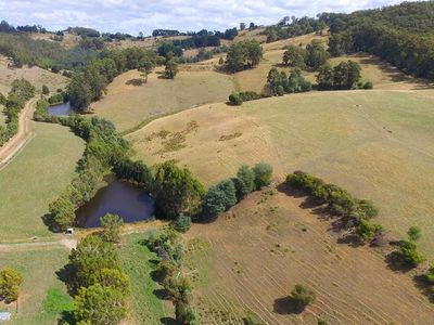Lot 4 Wallace Road, Cygnet