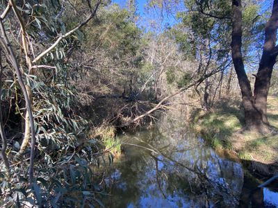 464 Cookanulla Road, Braidwood