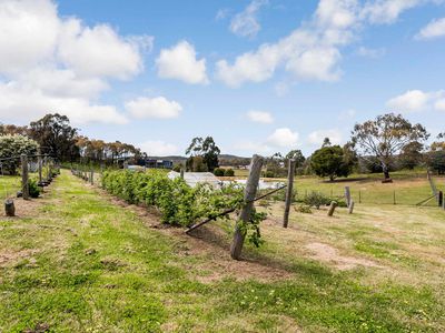 109 Meadows Lane, Heathcote