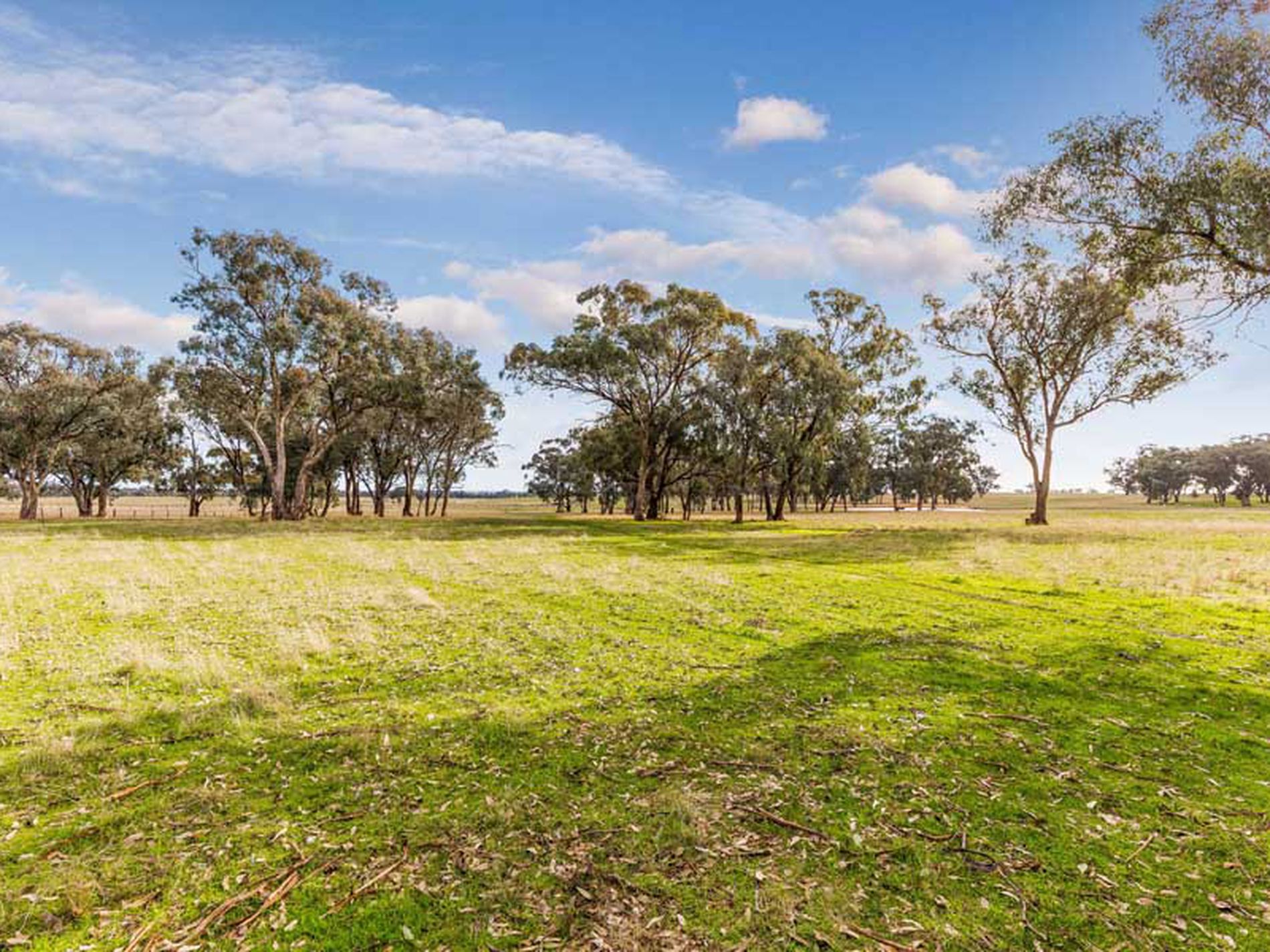 494 Carmody Road, Muskerry