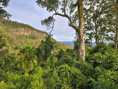 773B Mount Scanzi Road, Kangaroo Valley