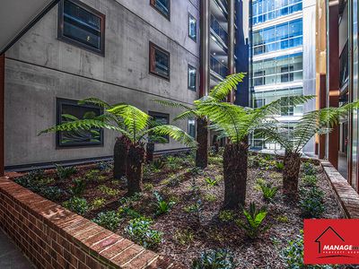 108 / 65 Cooyong Street, Braddon