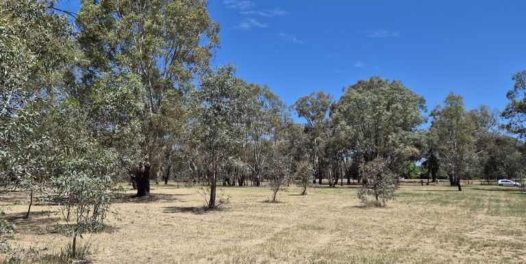 Lot 1, Irwin Street, Violet Town