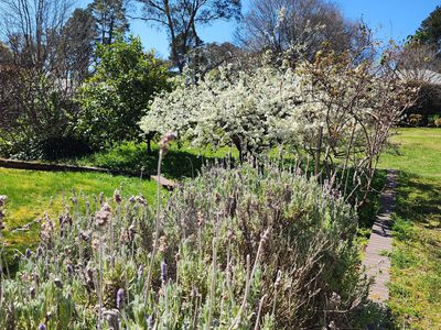 21 Sullivan Rd, Burradoo