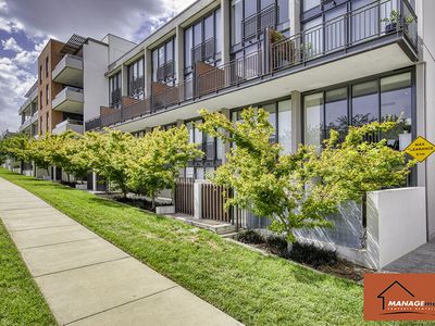 8 / 20 Eyre Street, Kingston