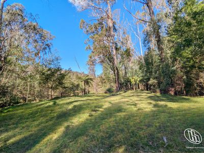 115 Gulph Creek Road, Nerrigundah