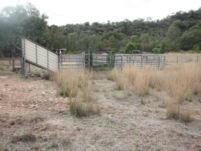 1152 Cullingral Road, Merriwa