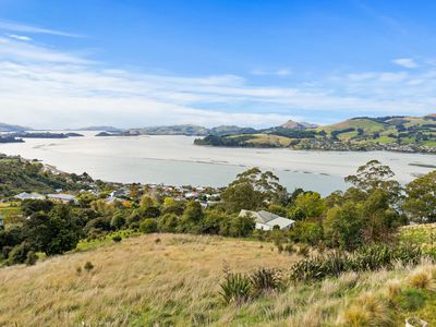 25 Kakapo Street, Saint Leonards