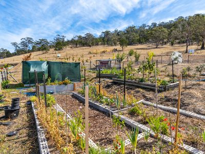 180 Middle Tea Tree Road, Richmond