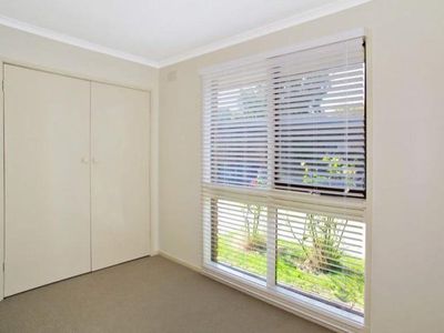 2 / 1 Holyrood Avenue, Newtown